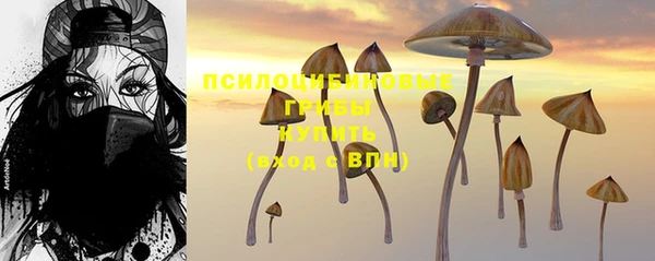 a pvp Абаза