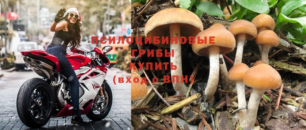 крисы Абдулино
