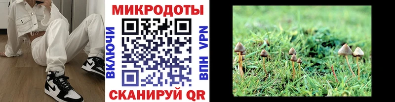 Галлюциногенные грибы прущие грибы Сысерть
